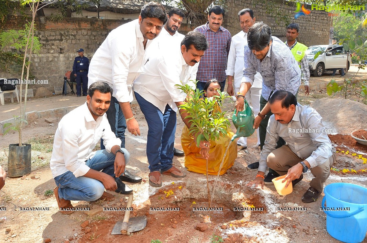 Director Harish Shankar & MLA Kranthi Participate in Haritha Haram Program