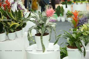 International Flora Expo 2020 Kicks Off at HITEX