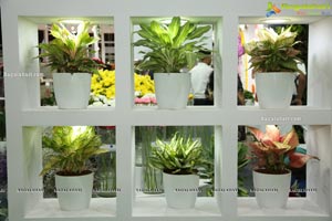 International Flora Expo 2020 Kicks Off at HITEX