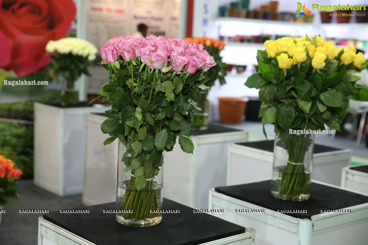 International Flora Expo 2020 Kicks Off at HITEX