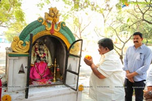 Telangana Devudu Gummadikaya Event