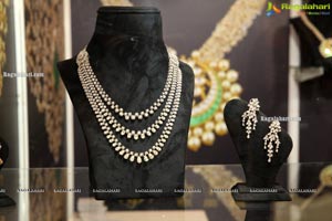 Pandora Fashion Exhibition, Park Hyatt Hyderabad