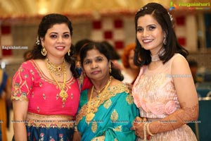 Pari & Naani's Marriage Celebration at Heritage Palace