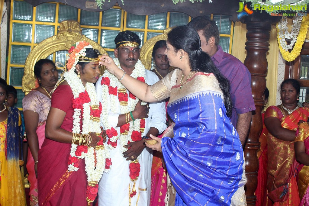 PRO MP Anand Wedding Reception
