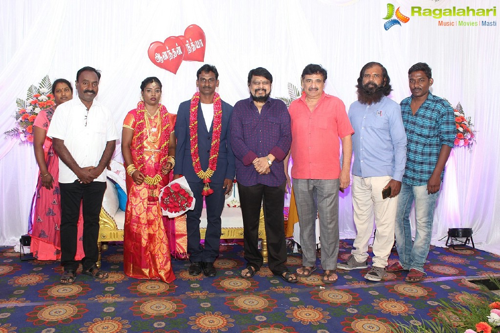 PRO MP Anand Wedding Reception