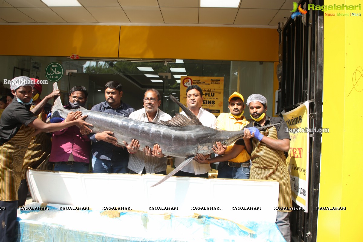 Proteins Hygienic NonVeg Mart Hands Over a 120kg Marlin Fish to the 1st Costumer