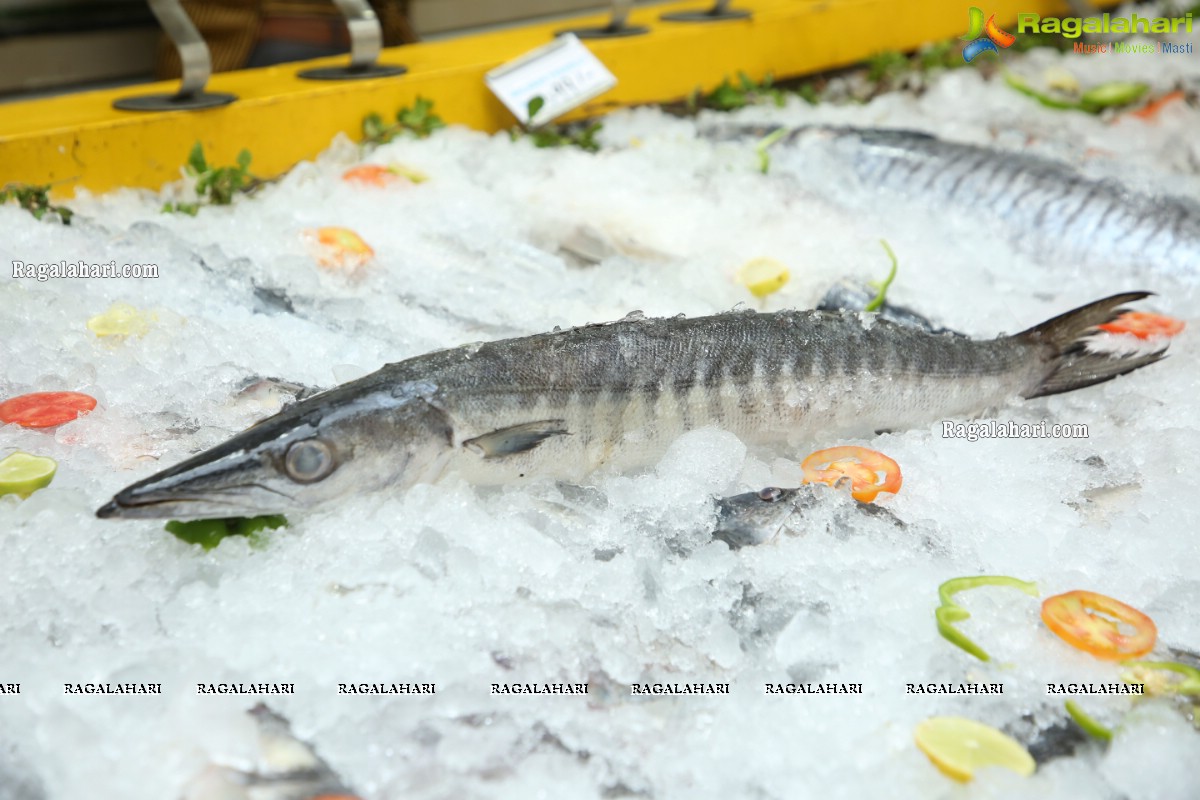 Proteins Hygienic NonVeg Mart Hands Over a 120kg Marlin Fish to the 1st Costumer