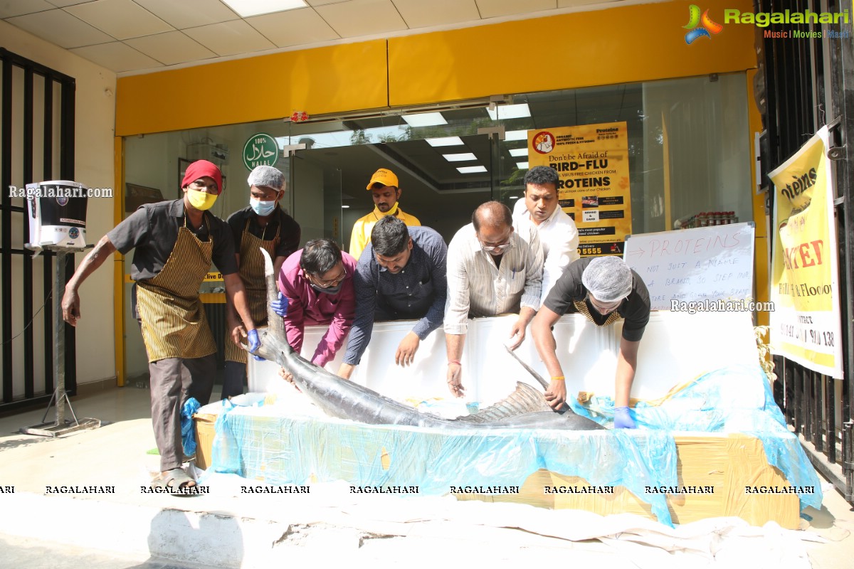 Proteins Hygienic NonVeg Mart Hands Over a 120kg Marlin Fish to the 1st Costumer