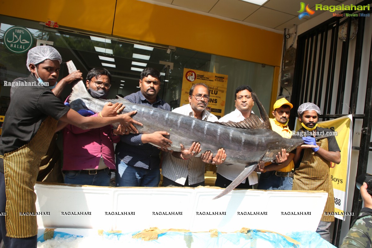 Proteins Hygienic NonVeg Mart Hands Over a 120kg Marlin Fish to the 1st Costumer