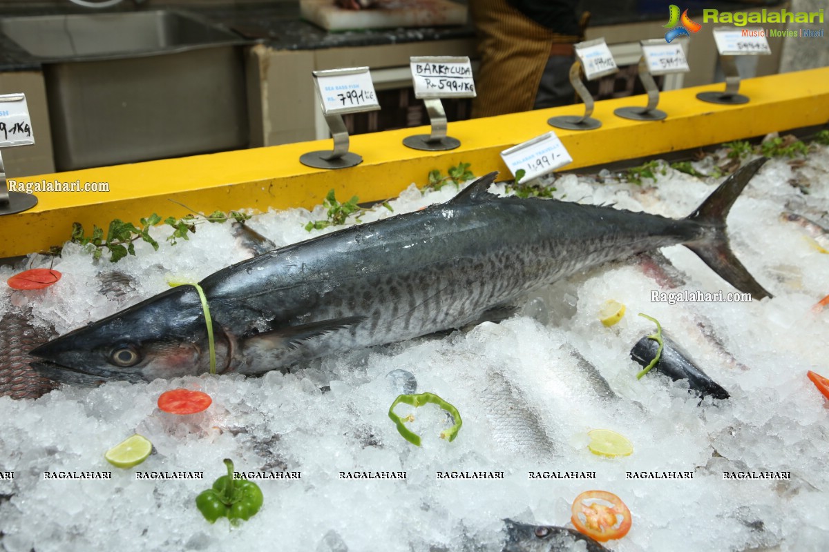 Proteins Hygienic NonVeg Mart Hands Over a 120kg Marlin Fish to the 1st Costumer