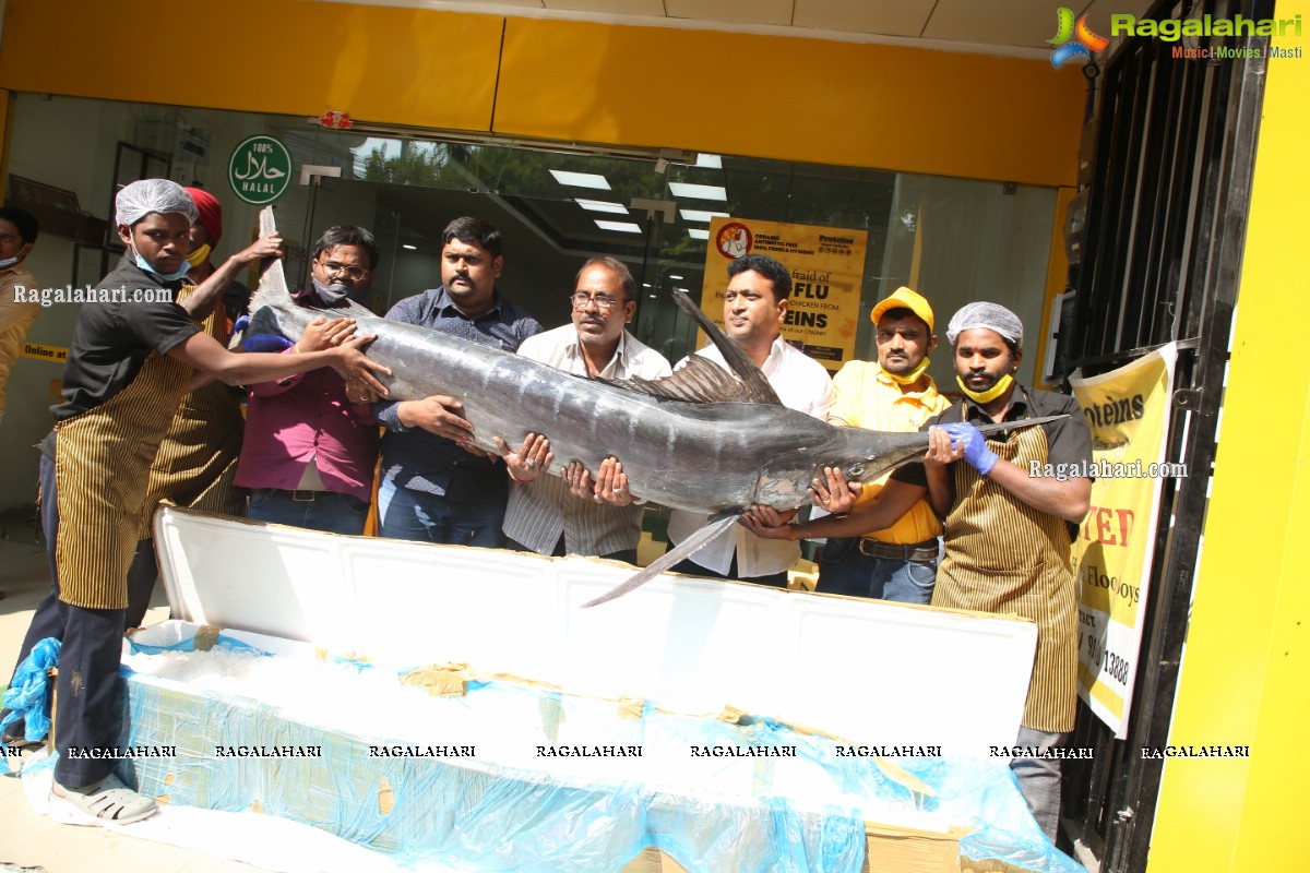 Proteins Hygienic NonVeg Mart Hands Over a 120kg Marlin Fish to the 1st Costumer