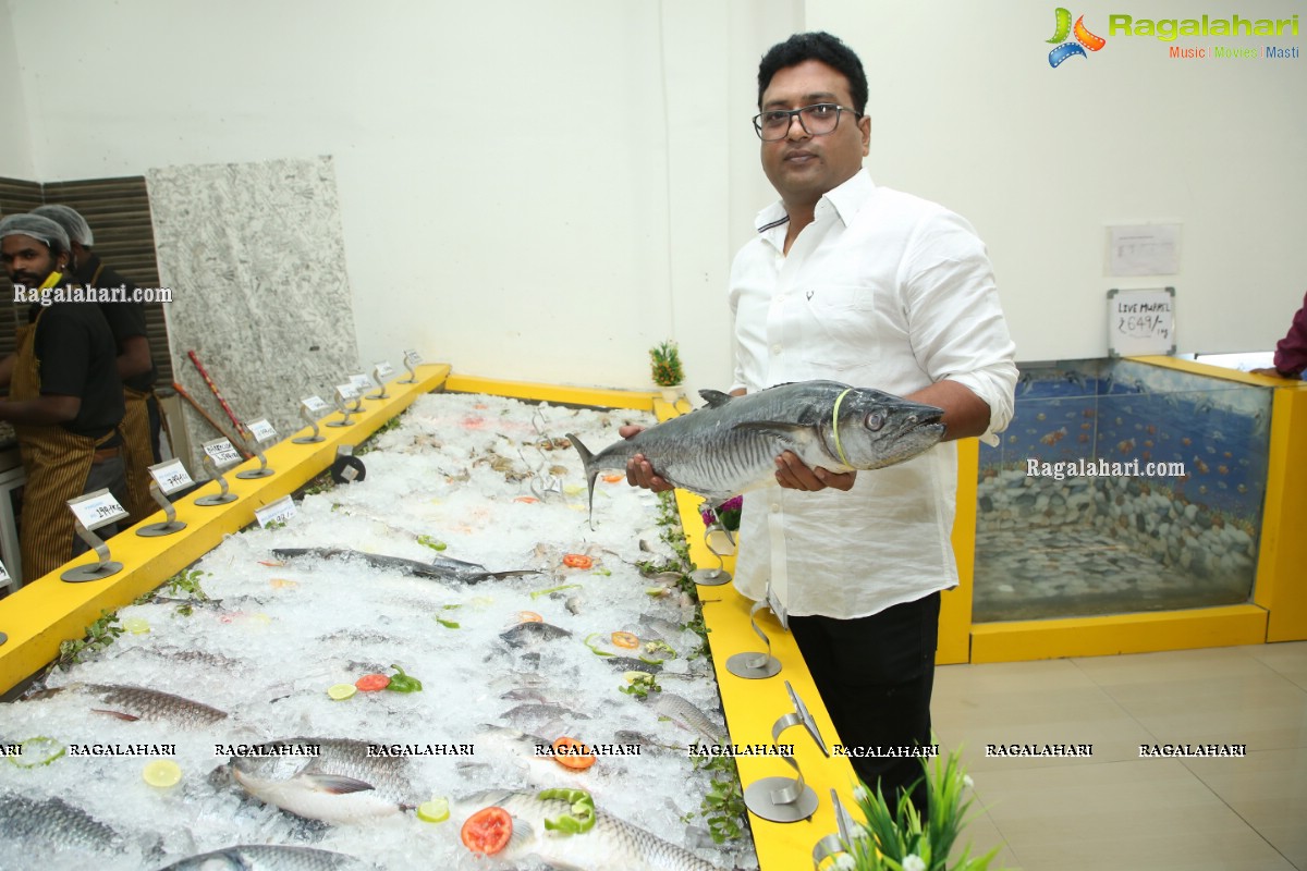 Proteins Hygienic NonVeg Mart Hands Over a 120kg Marlin Fish to the 1st Costumer