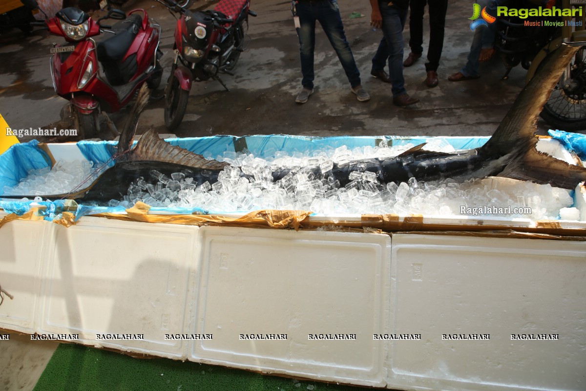 Proteins Hygienic NonVeg Mart Hands Over a 120kg Marlin Fish to the 1st Costumer