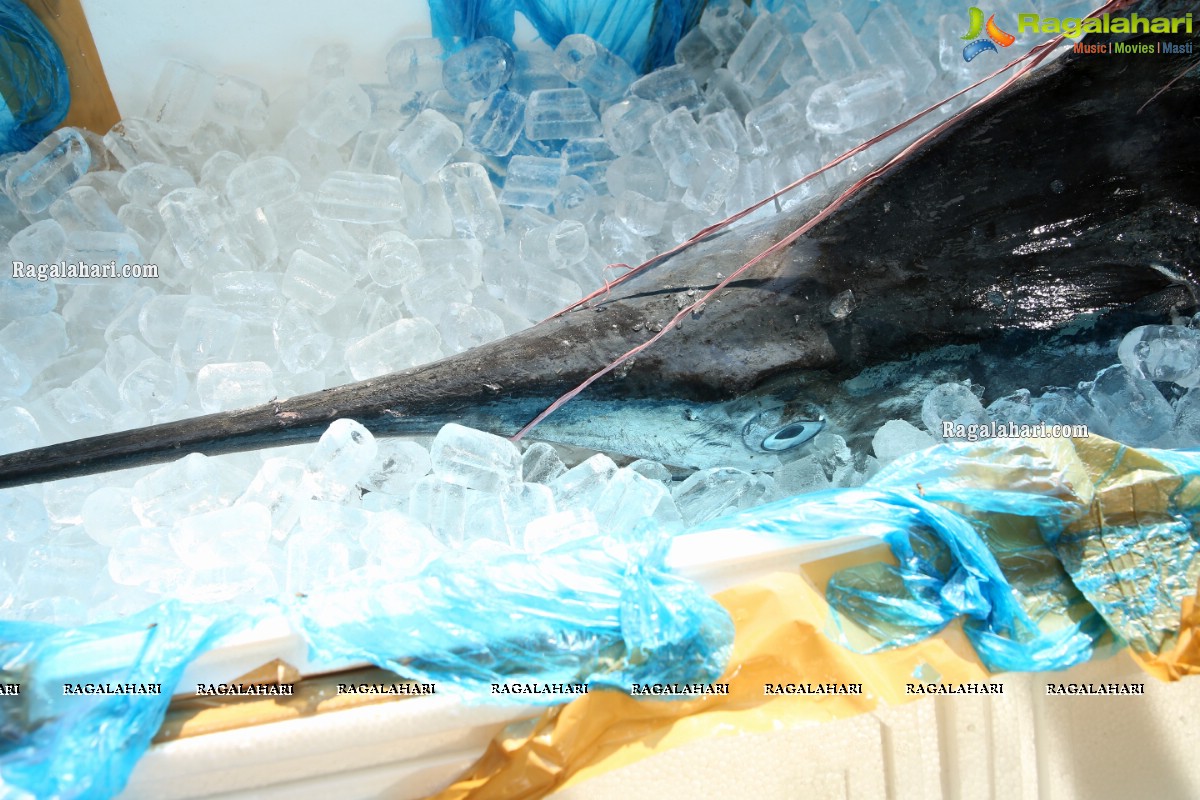 Proteins Hygienic NonVeg Mart Hands Over a 120kg Marlin Fish to the 1st Costumer