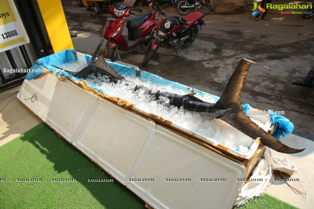 Proteins Hygienic NonVeg Mart Hands Over a 120kg Marlin Fish to the 1st Costumer