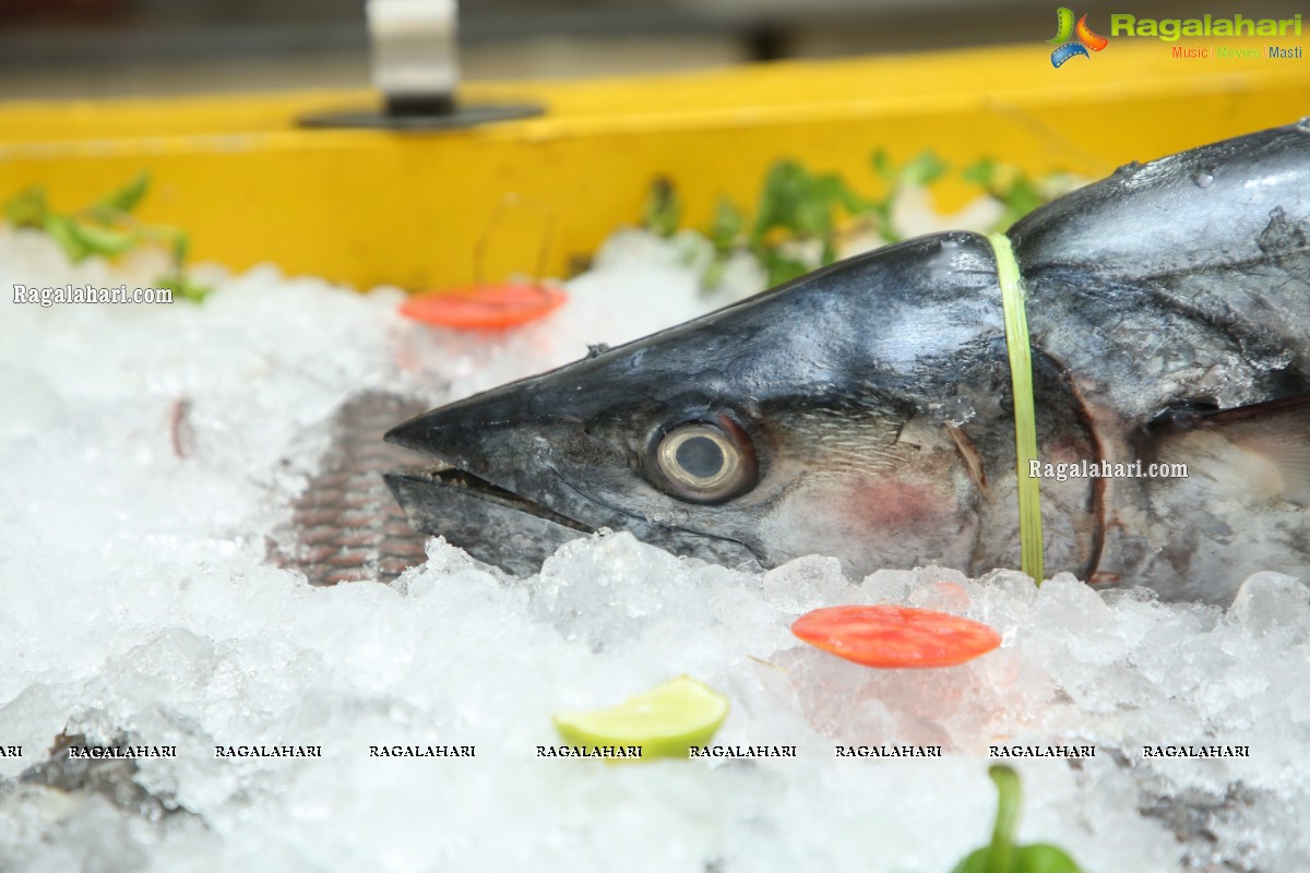 Proteins Hygienic NonVeg Mart Hands Over a 120kg Marlin Fish to the 1st Costumer