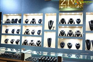 Zak Jewels Expo Begins in Hyderabad