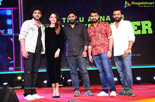 DJ Tillu Movie Success Meet