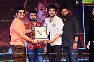 DJ Tillu Movie Success Meet