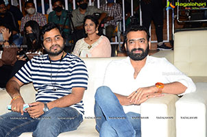 DJ Tillu Movie Success Meet