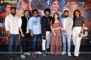 Mr King Movie Press Meet