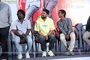 Writer Padmabhushan Movie Success Meet