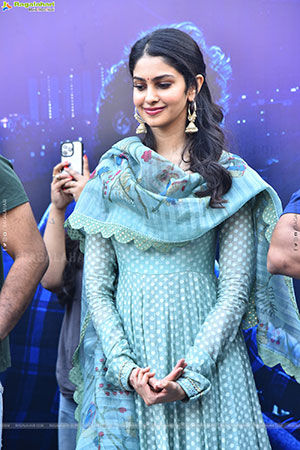 Couple Friendly Movie Success Celebrations