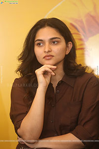 Funky Movie Success Press Meet