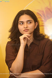 Funky Movie Success Press Meet