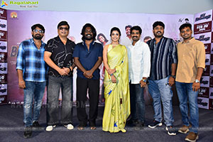 Hey Balwanth Movie Pre Release Press Meet
