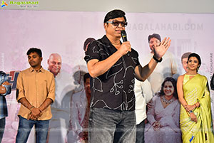 Hey Balwanth Movie Pre Release Press Meet