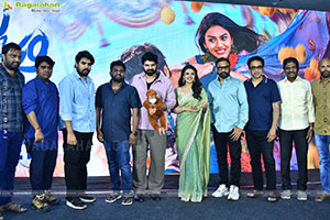 Vishnu Vinyasam Movie Pre Release Press Meet