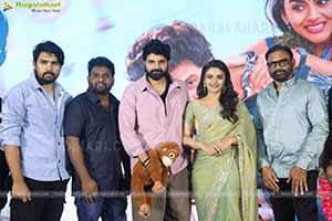 Vishnu Vinyasam Movie Pre Release Press Meet