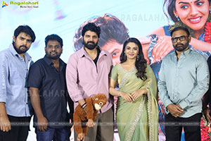 Vishnu Vinyasam Movie Pre Release Press Meet