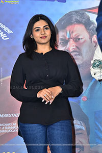 Vishnu Vinyasam Movie Funtastic Blockbuster Celebrations