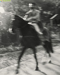 Vijay Deverakonda and Rashmika Mandanna's Wedding Pics