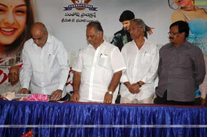 Pandugadu Audio Release