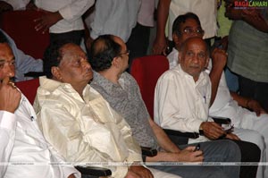 Venkatadri Audio release