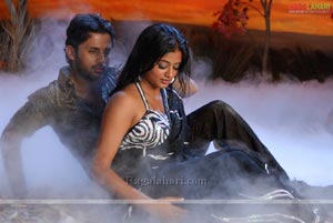 Nithin, Priyamani Poses Hot in Dhrona