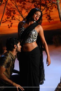 Nithin, Priyamani Poses Hot in Dhrona