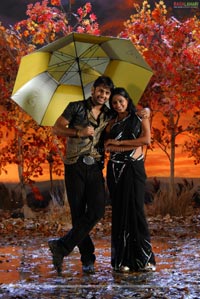 Nithin, Priyamani Poses Hot in Dhrona