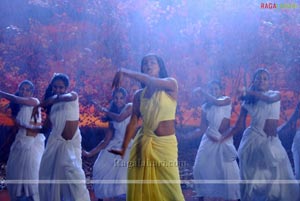 Nithin, Priyamani Poses Hot in Dhrona