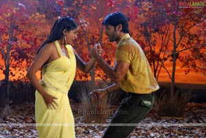 Nithin, Priyamani Poses Hot in Dhrona