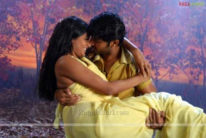 Nithin, Priyamani Poses Hot in Dhrona