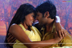 Nithin, Priyamani Poses Hot in Dhrona