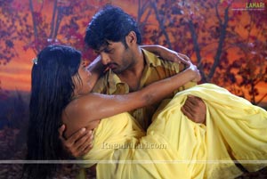 Nithin, Priyamani Poses Hot in Dhrona