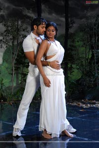 Nithin, Priyamani