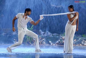 Nithin, Priyamani