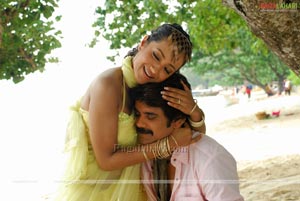 Nagarjuna, Trisha