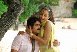 Nagarjuna, Trisha